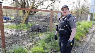 RIDE ALONG with Animal Control Officer Leah-Marie Whitman