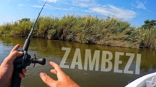 Tiger Fishing on the Zambezi and Close up elephant sightings