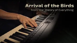 Arrival of the Birds - The Cinematic Orchestra (from The Theory of Everything)  Jacob's Piano