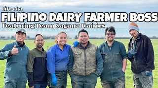 Life of a Filipino Dairy Farmer Boss || Dairy Farming in NZ 🇳🇿 by John Paul Cunanan