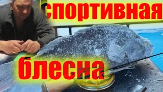 Лучшие блёсны для зимней ловли окуня. Спортивные блесны.