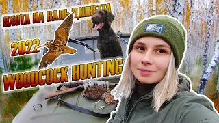 Охота на вальдшнепа с дратхааром 2022, девушка охотник / Woodcock hunting, girl hunter