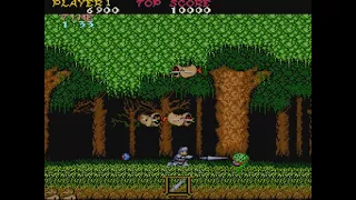 【序盤紹介プレイ】魔界村 (1985.9 AC) (PS4版) ステージ2クリアまで