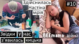 Війна#10 Звідки у нас кицька? Історя нашої Марсі.  Настіна мрія. Рятуємо чужу кицьку з кровотечею.