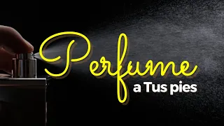 Perfume a Tus pies (Piano + Fondo) Pr. Pablo Marcelo #iurd #iglesiauniversal #perfume