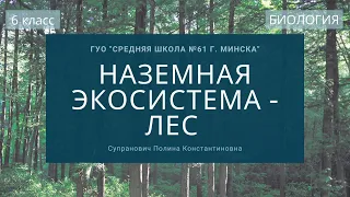 Биология, 6 класс: Наземная экосистема