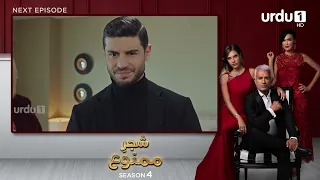 Shajar-e-Mamnu | Episode 331 Teaser | Turkish Drama | Forbidden Fruit | Urdu Dubbing | 16 March 2022