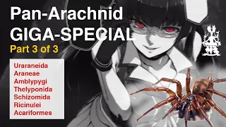 Pan-Arachnid GIGA Special: Reviews of Every Arachnid Group Ever! 3/3