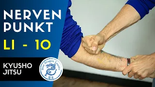 Die Wirkung vom NERVENPUNKT LI 10 I Selbstverteidigung by Blue Dragon Lausitz I Kyusho Jitsu