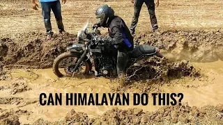 CAN HIMALAYAN DO OFF ROADING ? | MOTOWINGZ