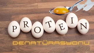 Protein Denatürasyonu Protein Denaturation yumurta egg pH Lise ve Ortaokul Deneyleri Kurtuluş ATLI