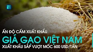 Bản tin chiều 03/8: Giá gạo Việt Nam xuất khẩu sắp vượt mốc 600 USD/tấn | VTC1