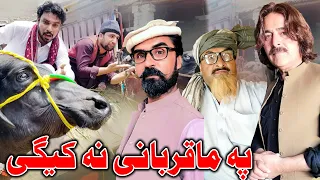 Pa Ma Qurbane Na Kege Funny Video Daji Gull Vines