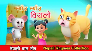 Meow Meow Biralo || म्याउ म्याउ बिरालाे || Nepali Rhymes Collection | लोक प्रिय नेपाली बाल गीत