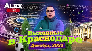 Выходные в Краснодаре зимой. Сафари парк и парк Галицкого | Alex Live выпуск 9 | 3-4 декабря 2022