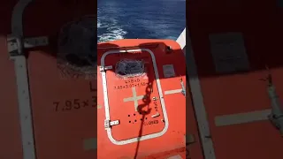 freefault lifeboat & шлюпка свободного падения на судне & safety & bulk carrier ALITHIA