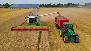 Gerste 2022 mit Claas Lexion 580 Terra Trac || Landwirtschaft in Dithmarschen