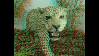 3D стерео видеоролик анаглиф №1 | 3D stereo video anaglyph # 1