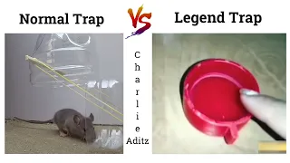 Normal Trap Vs Legend Trap !! Memes #viralmemes