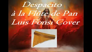 Despacito à la Flûte de Pan - Luis Fonsi Cover