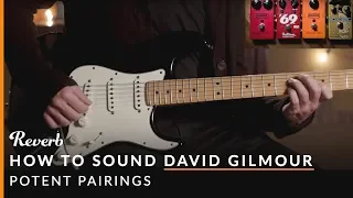 How To Sound Like David Gilmour of Pink Floyd Using Pedals | Reverb Potent Pairings