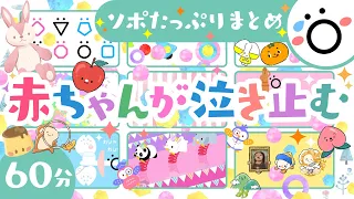 【赤ちゃんが泣きやむ】ソポたっぷりまとめ│歌♪音楽🎶0歳1歳2歳3歳の知育アニメ│赤ちゃんが喜ぶ・泣き止む・笑う・寝る│乳児・幼児向け知育動画・童謡・アニメ【こどものうた】