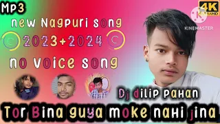 new Nagpuri song //TOR BINA GUYA MOKE NAHI JINA//NO VOICE SONG //2023+2024///DJ DILIP PAHAN.