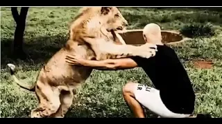 Wild Animals Showing Love To Human - Unbelievable Friendship! People And Wild Animals  - 2019