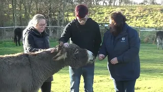 EMERGE Leeds and Donkey Sanctuary turn round a young man's life