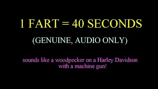 1 fart = 40 seconds: sounds like a woodpecker on a Harley Davidson with a machine gun