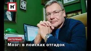 МОЗГ: В ПОИСКАХ ОТГАДОК