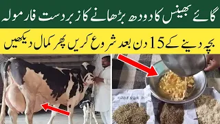 Taza Sui gaye bhains ka doodh barhany ka zabardast tarika