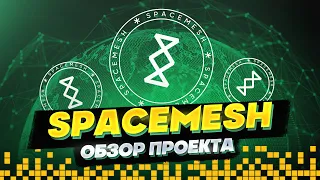 SPACEMESH - ТОТ САМЫЙ ГЕМ НА РАННЕЙ СТАДИИ #spacemesh