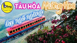 Tàu hỏa Mường Hoa ngắm trọn cảnh đẹp Sapa từ trên cao