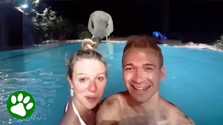 Couple have craziest experience with wildlife