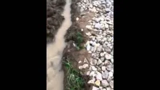 Потоп в Алексеевке