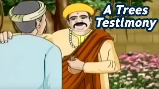 Akbar Birbal Stories In Hindi | A Trees Testimony | Hindi Animated Stories | Masti Ki Paathshala