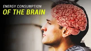 Why Does the Brain Consume So Much Energy?