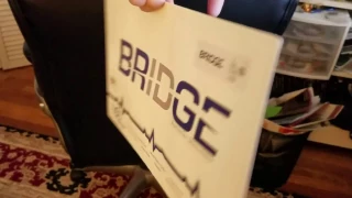 The Bridge Detox Device - Opiate Withdrawl Device