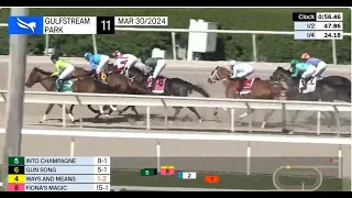 Into Champagne- Gulfstream Park Oaks 2024