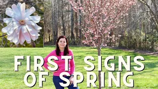First Signs of Spring with Magnolia & Cherry Trees | Gardening with Creekside