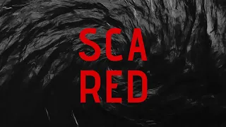 Coyot x ALMA - Scared (Lyric Video)