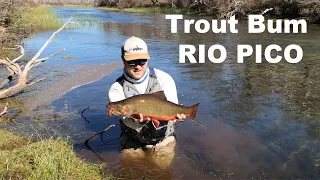 Fly Fishing in Patagonia: Landing a Big Brook Trout
