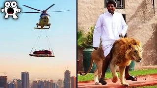 Strange Things You'll Only See In Dubai