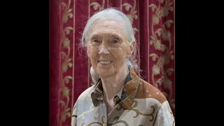 CONSERVATION HEROES: (A Safari Mack Special) Happy Birthday Jane Goodall!