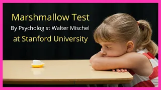 Marshmallow Test || Walter Mischel || Stanford University || Instant Gratification