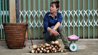 Harvest Bamboo Shoots To Go To The Market To Sell | 365 Days Living in the Heart of the Earthquakes