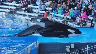 Sea World in December 29th, 2023 - part 2