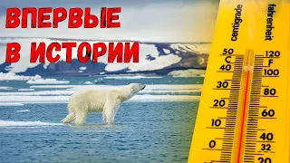 ВПЕРВЫЕ В ИСТОРИИ! На ледниках Гренландии прошел дождь! Ученые обеспокоены!