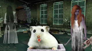 Hamster in Castle of Horrors in Roller Coaster 🐹 ジェットコースターに乗るハムスター